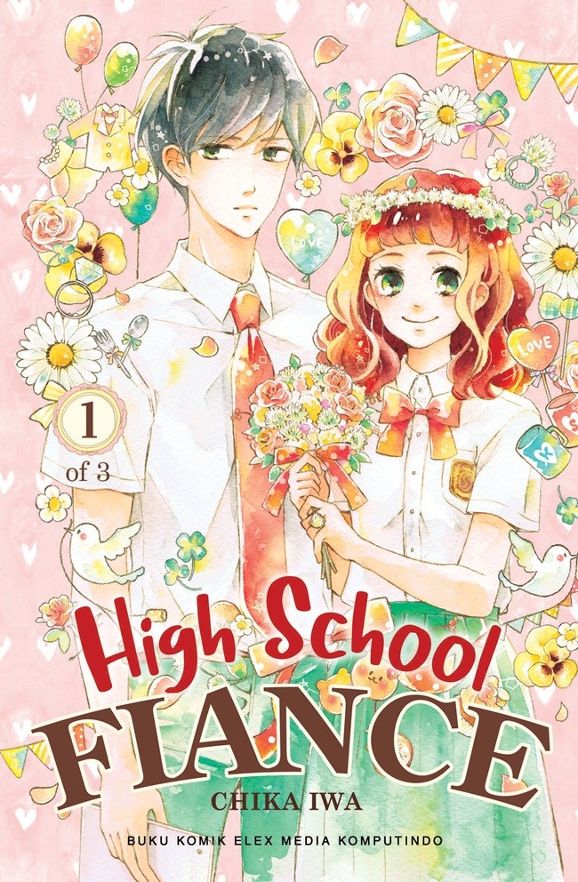 High School Fience
